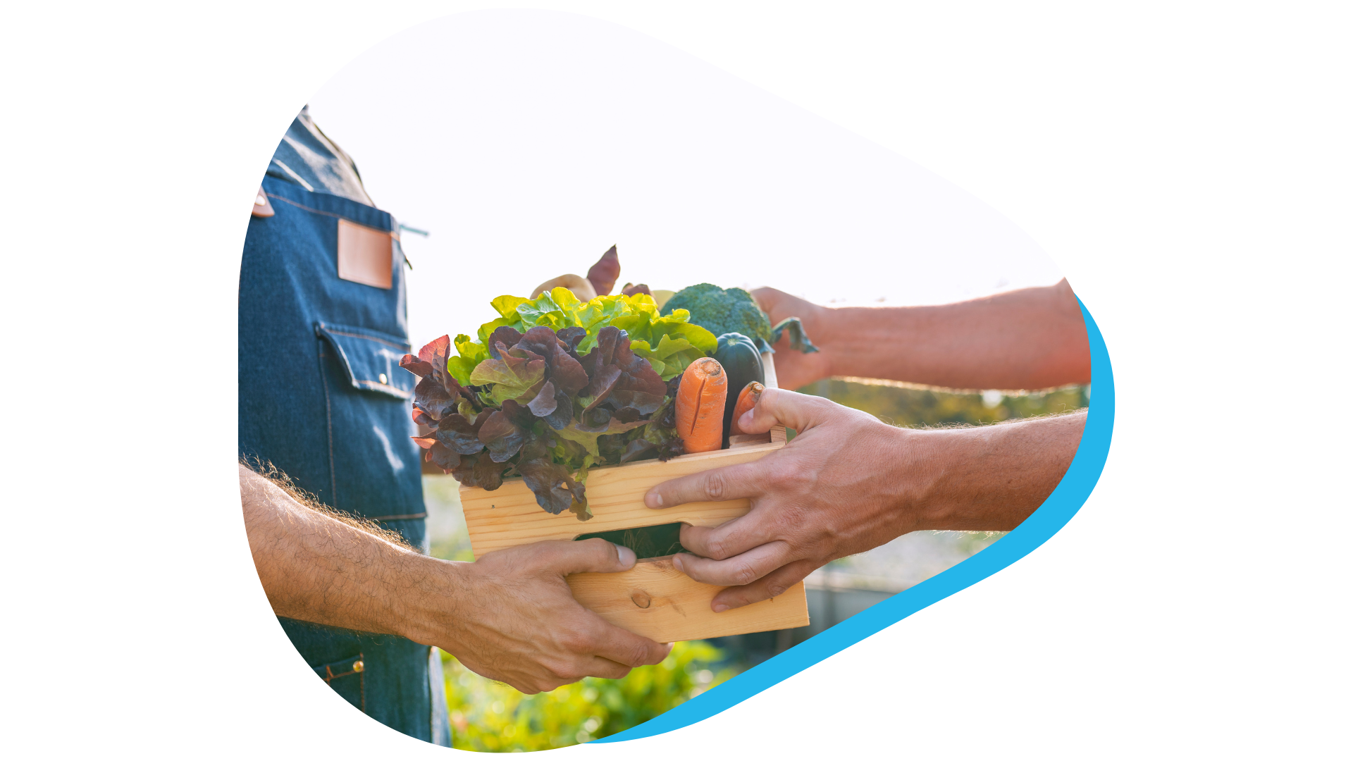 Farmers market produce